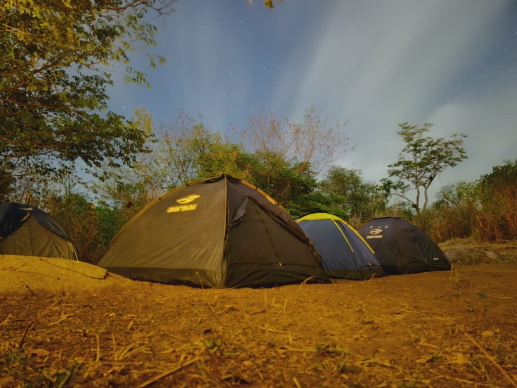 WhatsApp-Image-2026-02-02-at-12.46.08-1-1024x768 LUAU TEMÁTICO DO ECO PARQUE ANGICOS ESTREIA COM SUCESSO E CONSOLIDA BANANEIRAS COMO DESTINO DE EXPERIÊNCIAS NO BREJO PARAIBANO