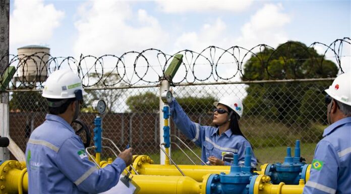 vdZnrgdOWRDLVbJ82UrPoJFDIZ3EpE-metaRm90byBkZSBWbGFkbWlyIEFsZXhhbmRyZS5qcGc-1-696x385 Homepage - Magazine