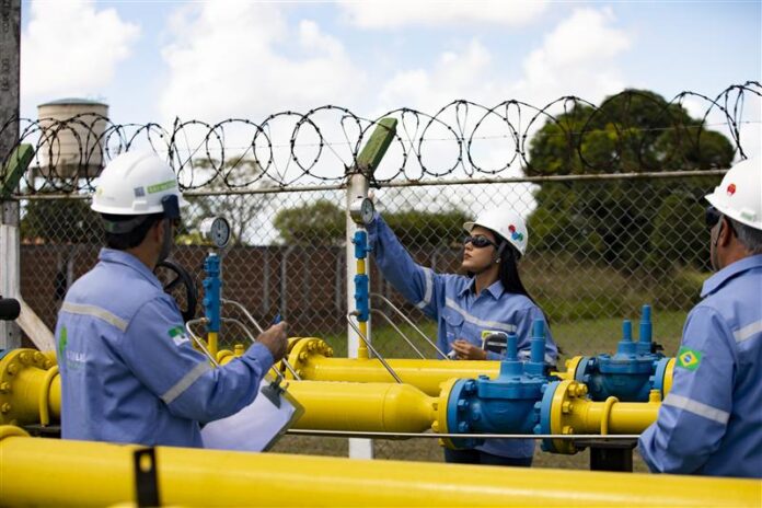 vdZnrgdOWRDLVbJ82UrPoJFDIZ3EpE-metaRm90byBkZSBWbGFkbWlyIEFsZXhhbmRyZS5qcGc=- (1)